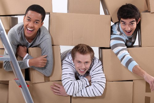 Professional man and van team preparing a move in Raynerslane